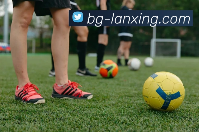 体育直播服务